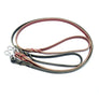 Leash 3/4" wide 6 feet long