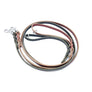 Leash 1/2" wide 6 feet long